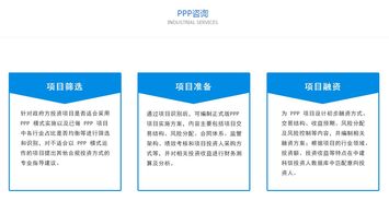 PPP咨詢服務 專業(yè)信息咨詢服務的價值與未來